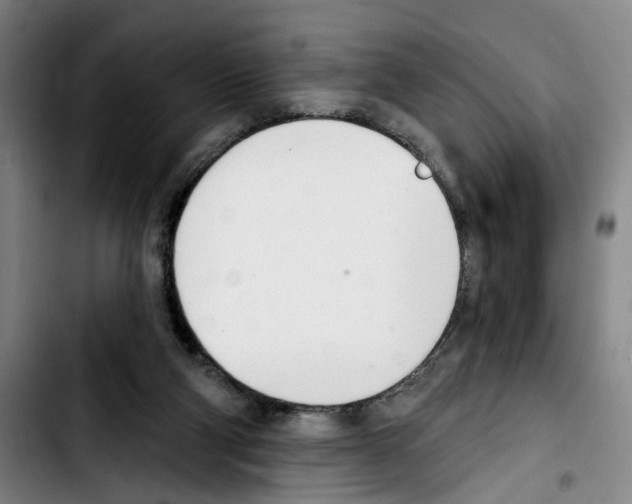 X0000103440114200810241131