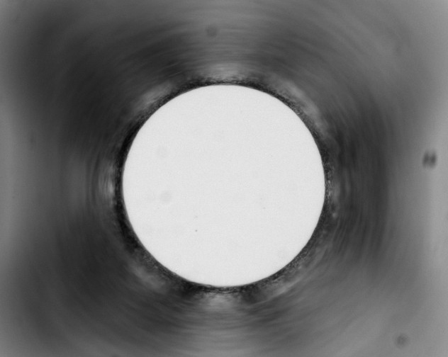X0000103440115200810241131