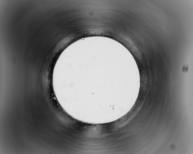 X0000103440116200810241131