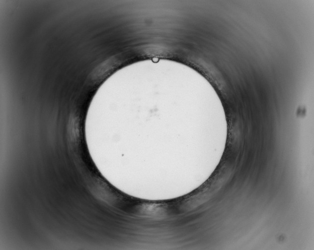 X0000103440117200810241130