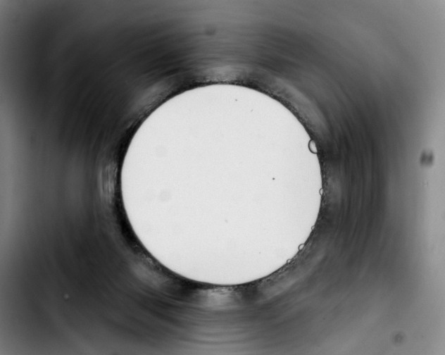 X0000103440118200810241130