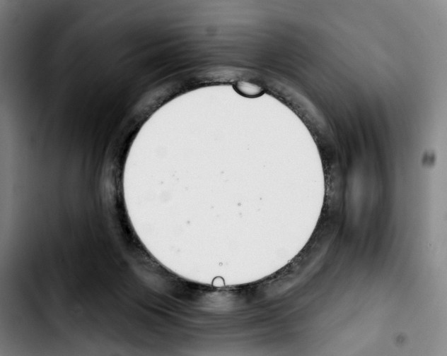 X0000103440119200810241130