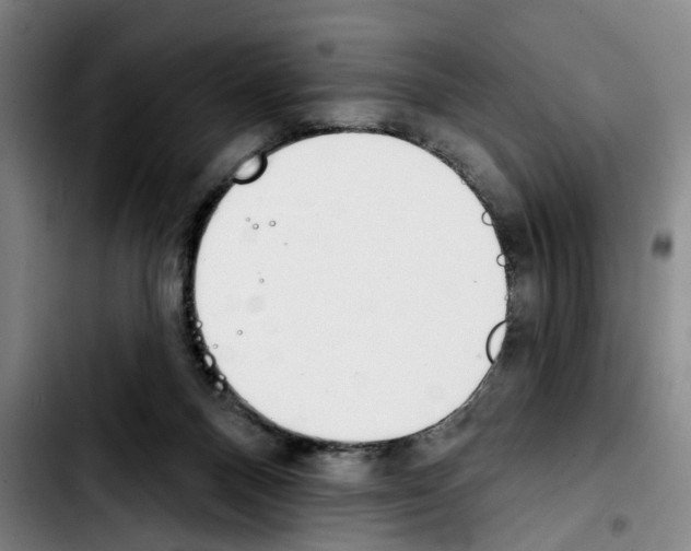 X0000103440120200810241130