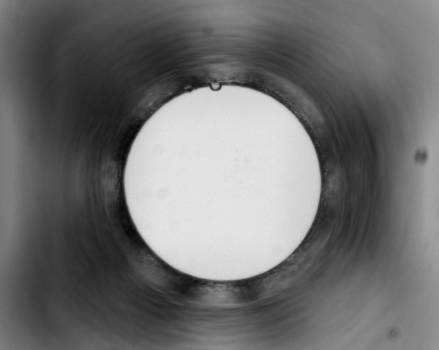 X0000103440121200810241130