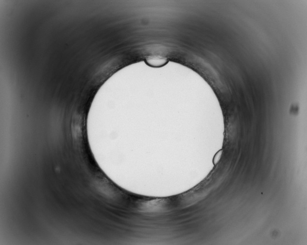 X0000103440122200810241130