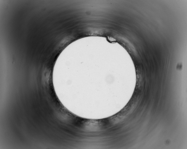 X0000103440123200810241130