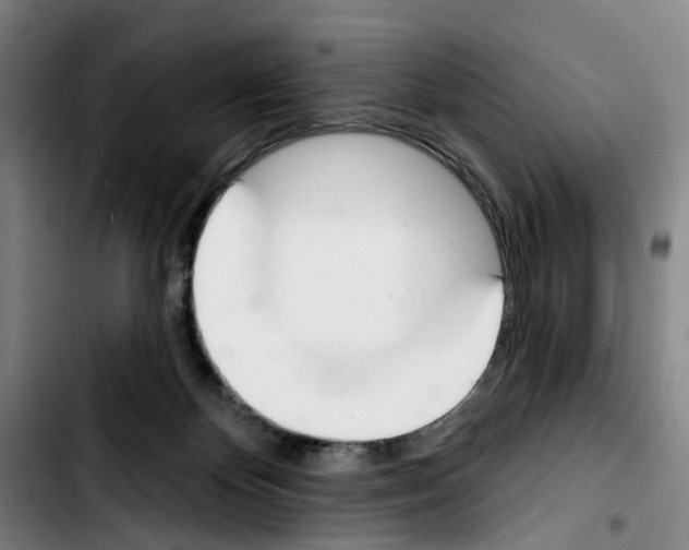 X0000103440124200810241130