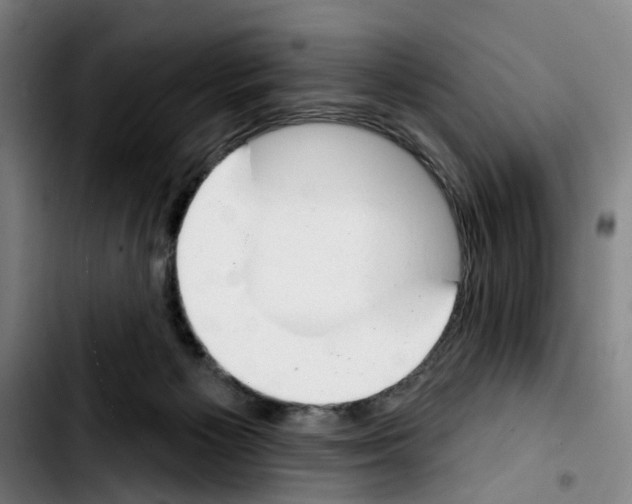 X0000103440125200810241130