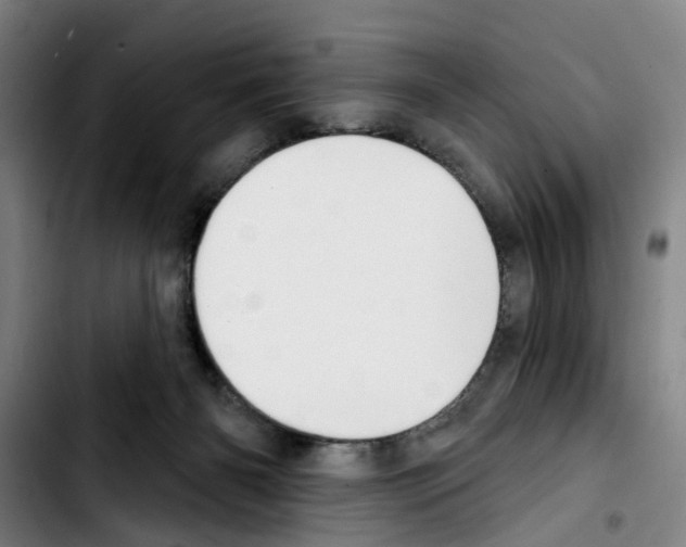 X0000103440126200810241130