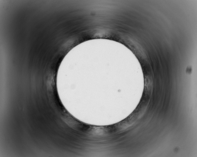 X0000103440127200810241130
