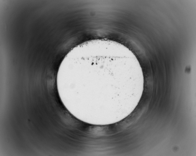 X0000103440129200810241130