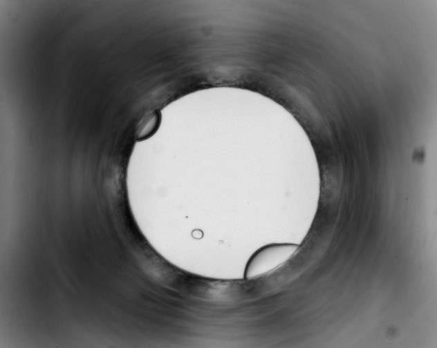 X0000103440130200810241130