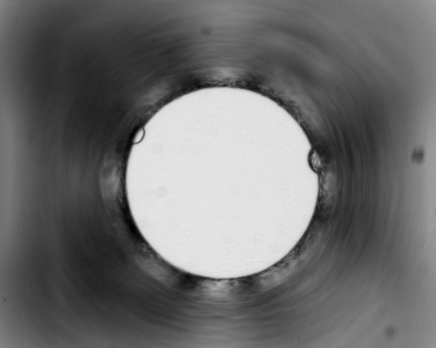 X0000103440131200810241130