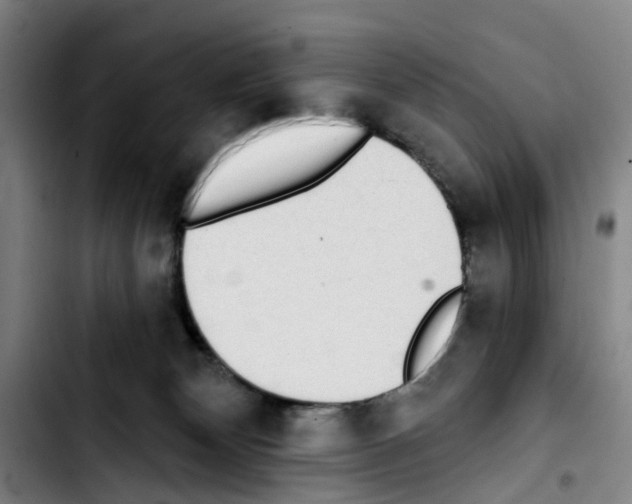 X0000103440132200810241130