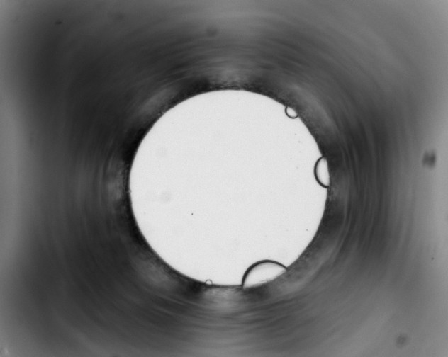 X0000103440133200810241130