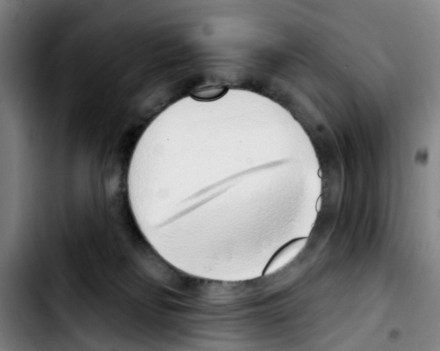X0000103440134200810241130