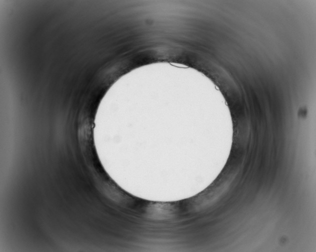 X0000103440137200810241130