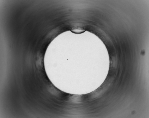 X0000103440138200810241130