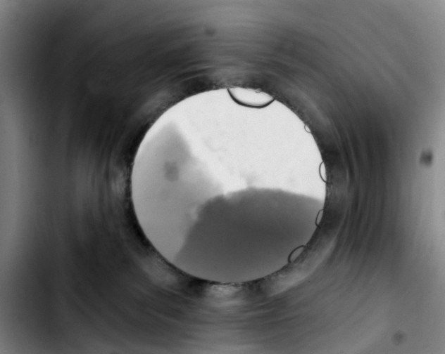 X0000103440139200810241130