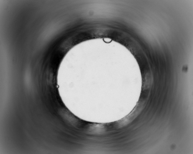X0000103440140200810241130