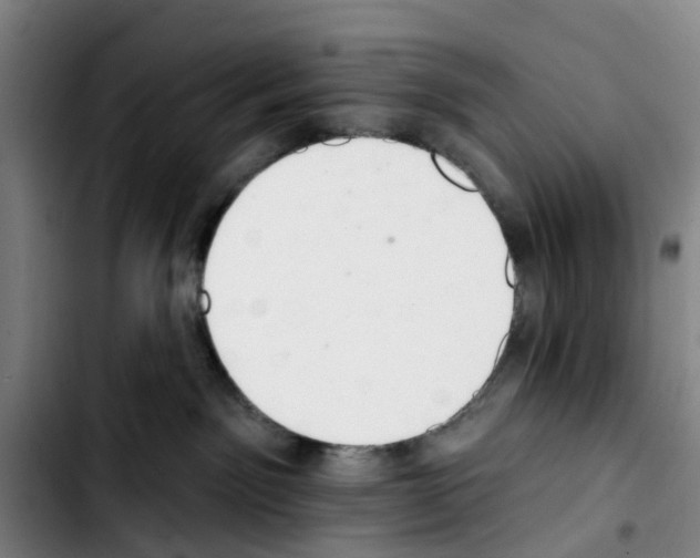 X0000103440141200810241130