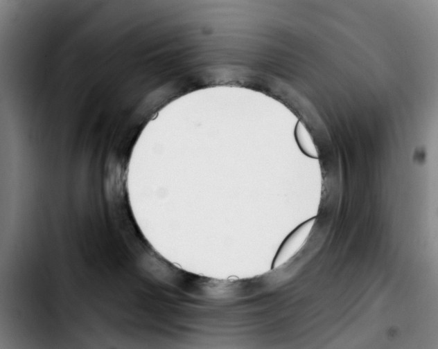 X0000103440142200810241130