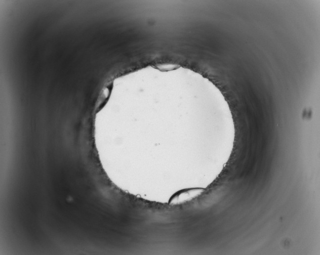 X0000103440144200810241130