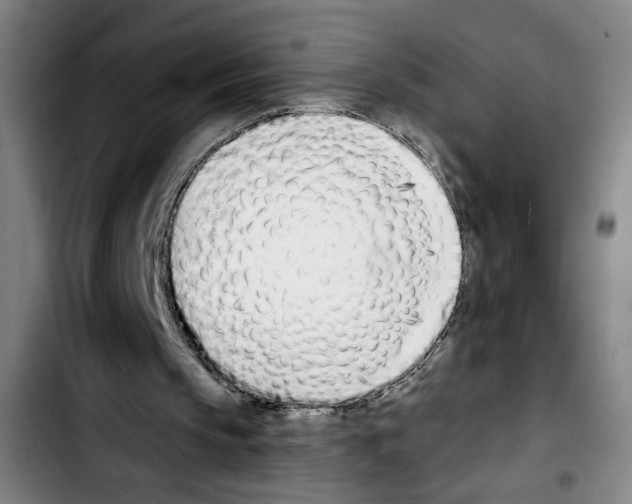 X0000103440145200810241129