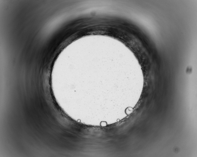 X0000103440146200810241129