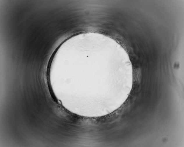 X0000103440147200810241129