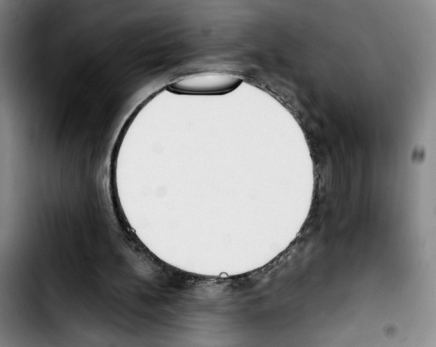 X0000103440148200810241129