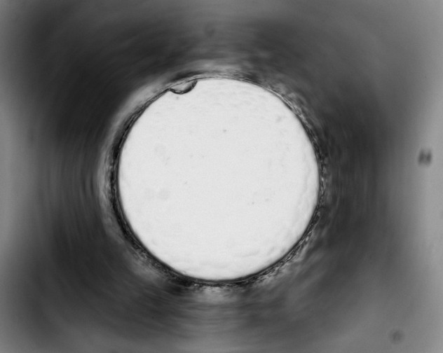 X0000103440149200810241130