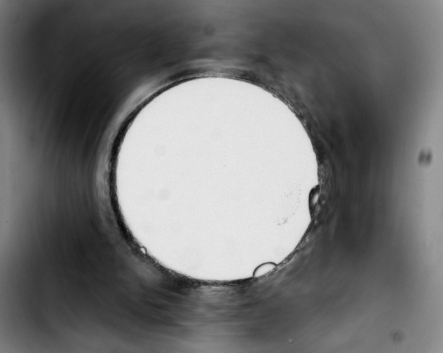 X0000103440150200810241130