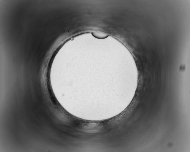X0000103440151200810241130
