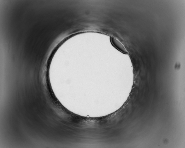 X0000103440152200810241130