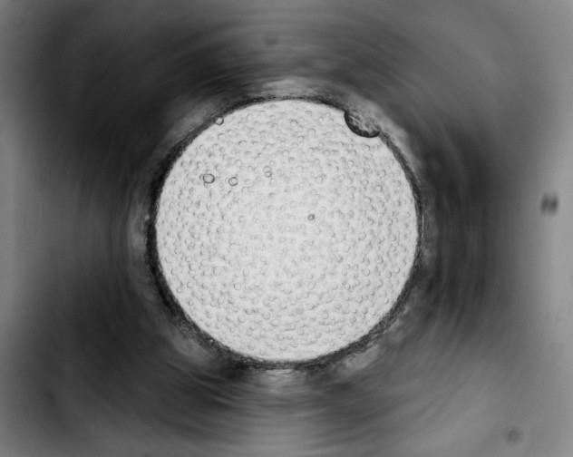 X0000103440153200810241130