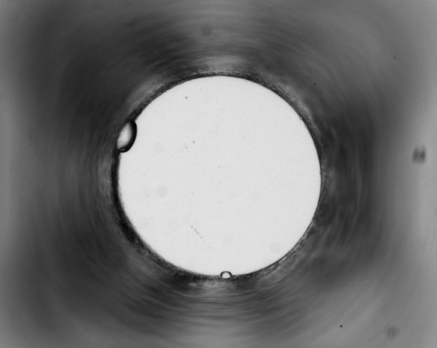 X0000103440154200810241130