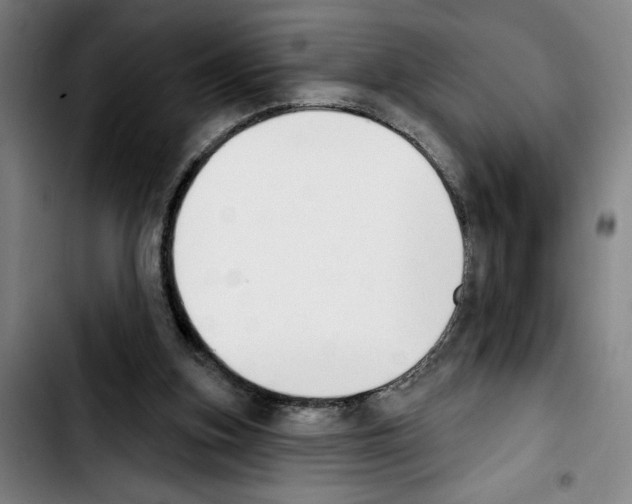 X0000103440155200810241130