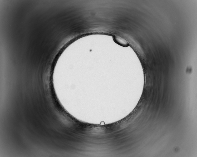 X0000103440156200810241130