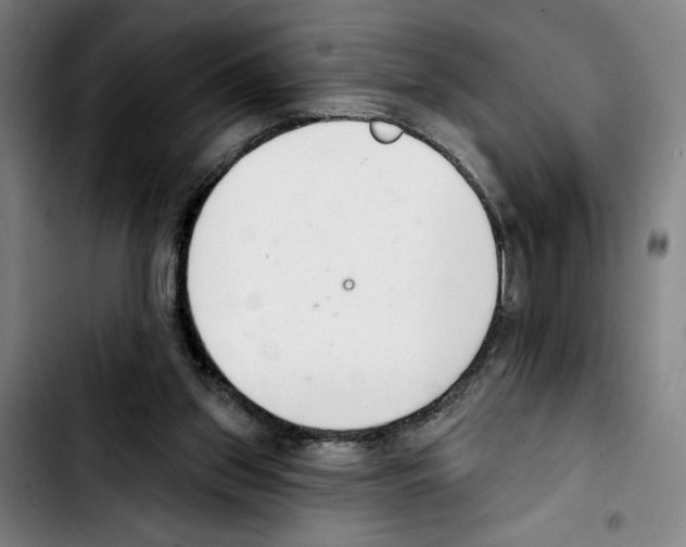 X0000103440157200810241130