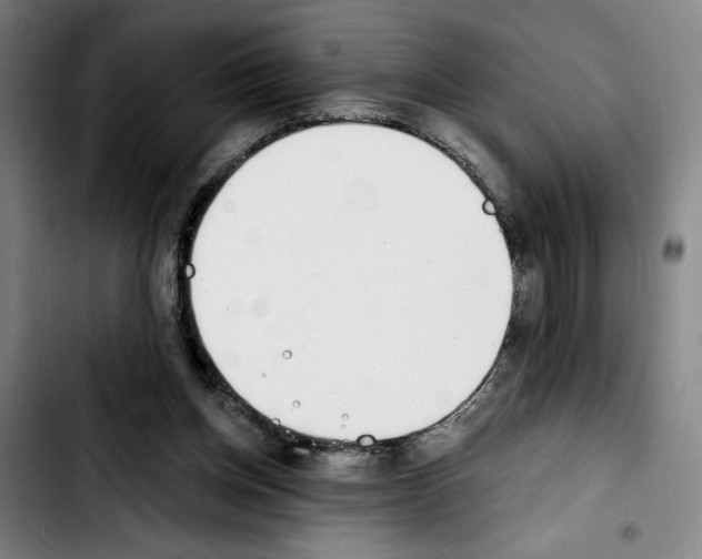 X0000103440158200810241130