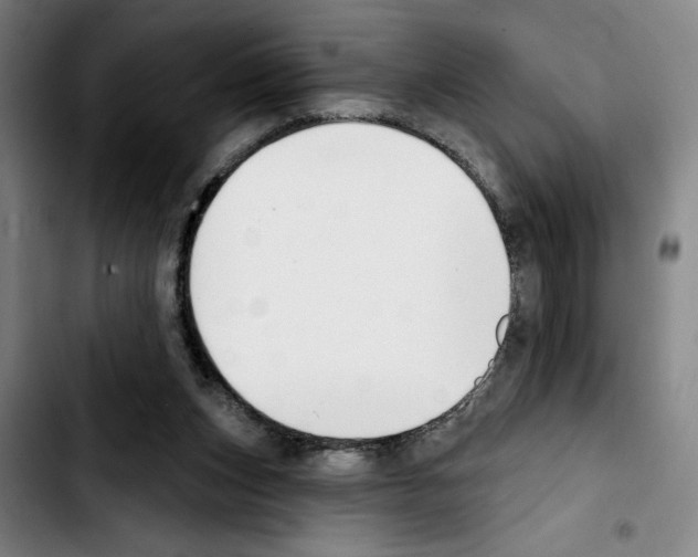 X0000103440159200810241130