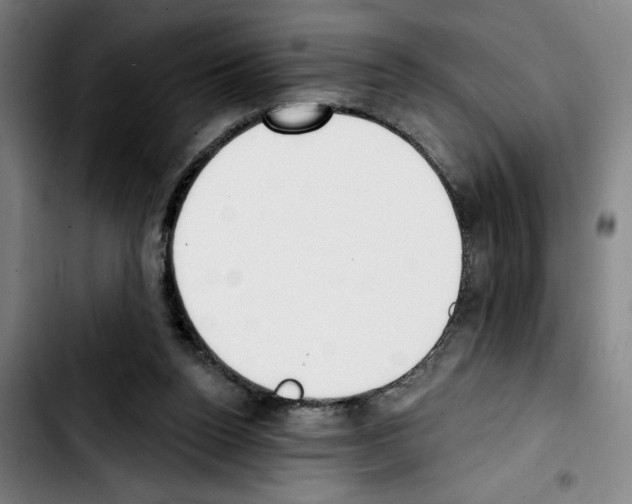 X0000103440160200810241130