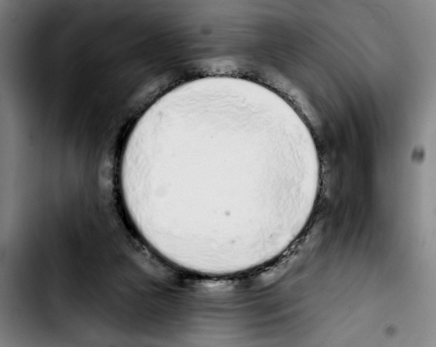 X0000103440161200810241130