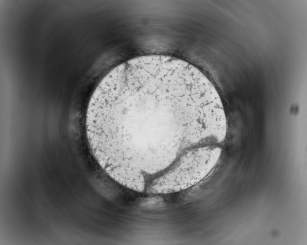 X0000103440162200810241130