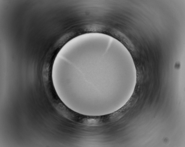 X0000103440163200810241130