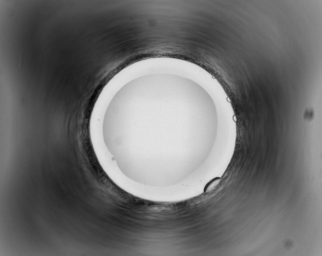 X0000103440164200810241130