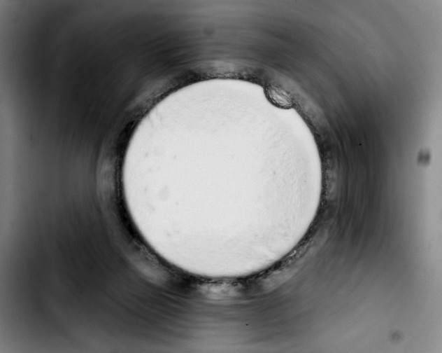 X0000103440165200810241130