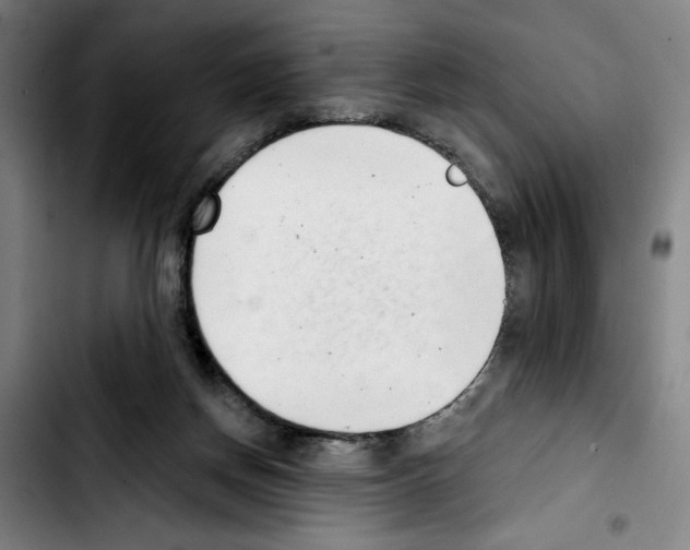 X0000103440166200810241130
