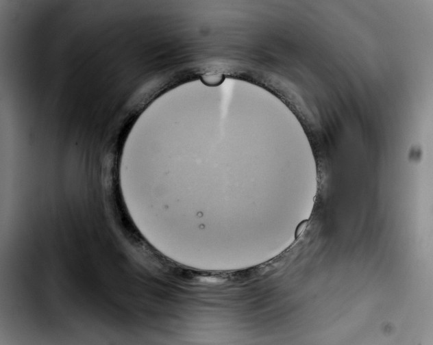 X0000103440167200810241130